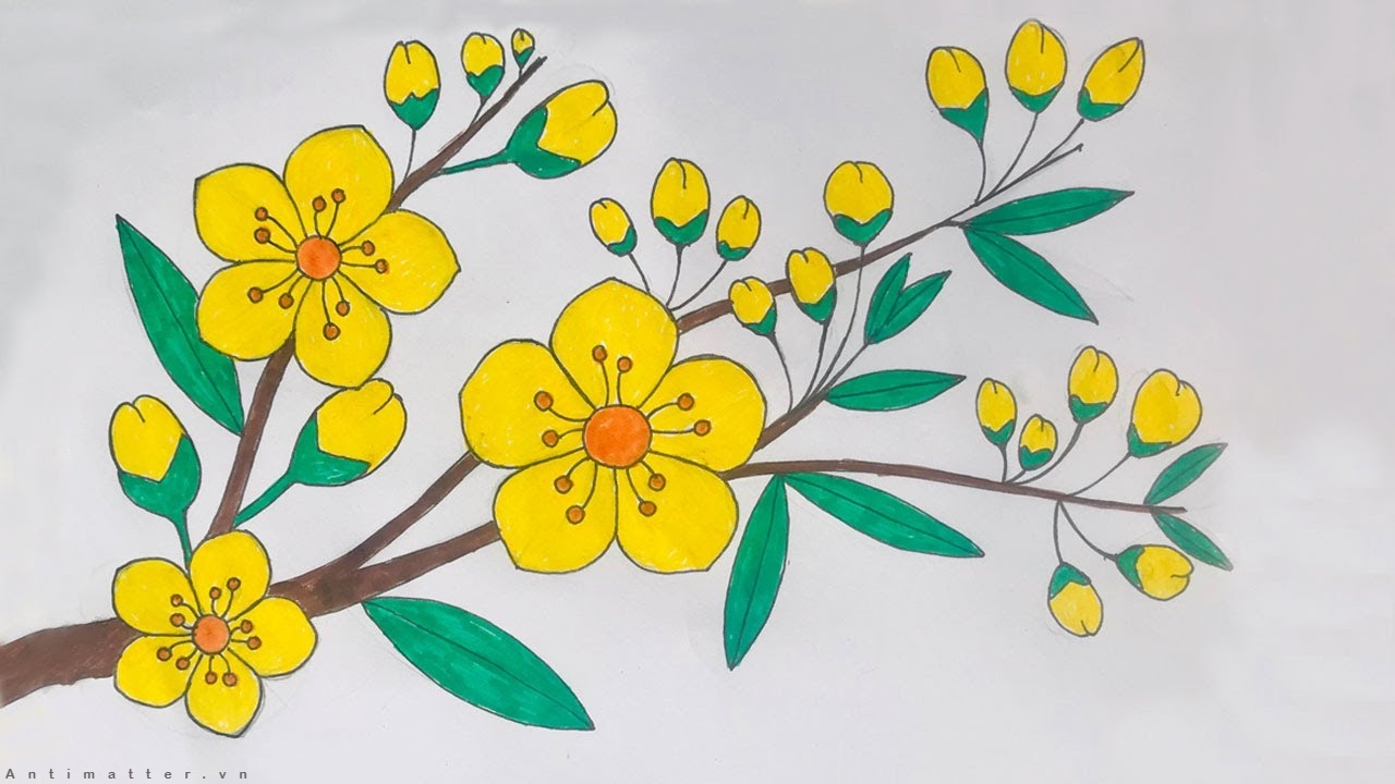 Hình Vẽ Bông Hoa- Cách Vẽ Bông Hoa Vừa Đẹp Vừa Dễ