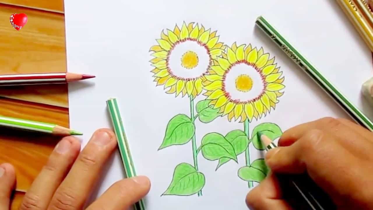 Hình Vẽ Bông Hoa- Cách Vẽ Bông Hoa Vừa Đẹp Vừa Dễ