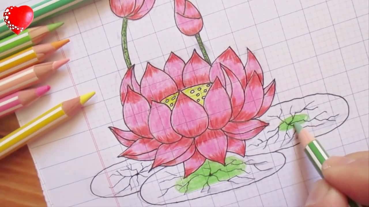 Hướng dẫn cách vẽ bông hoa đơn giản mà đẹp cho người mới học