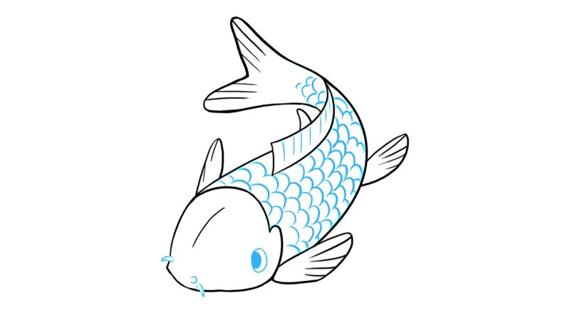 Hình Vẽ Cá Chép- Cách Vẽ Cá Chép Đẹp, Dễ Như Xơi Bánh - Thivao10