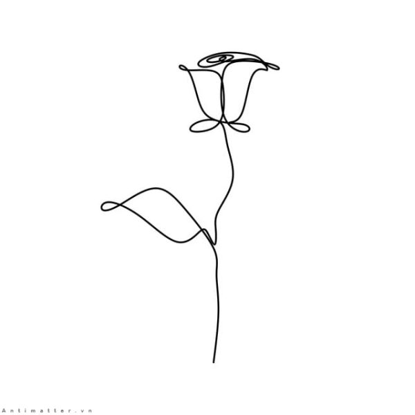 Continuous line drawing of rose petal vector illustration minimalist design