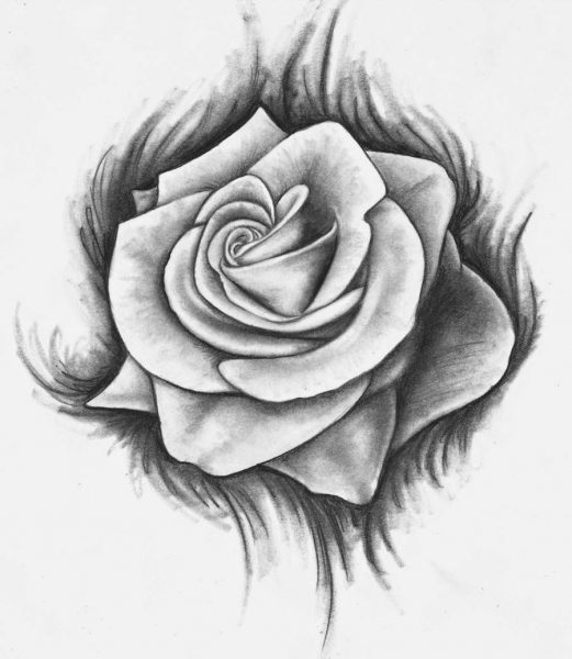 hình vẽ hoa hồng bằng chì đẹp