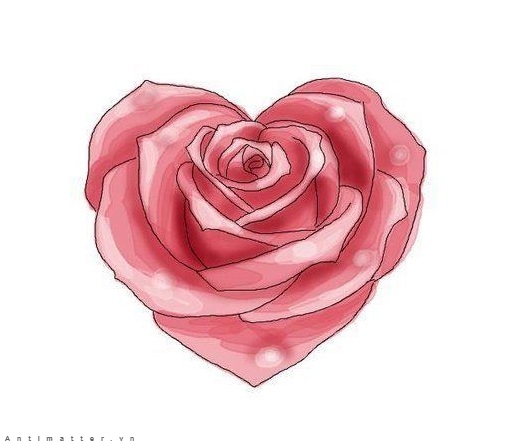 hình vẽ hoa hồng bằng hình trái tim