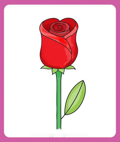 Hình vẽ hoa hồng đơn giản
