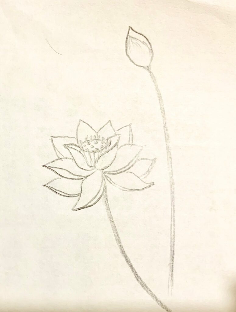 Bỏ túi ngay các cách vẽ hoa sen đơn giản đẹp nhất