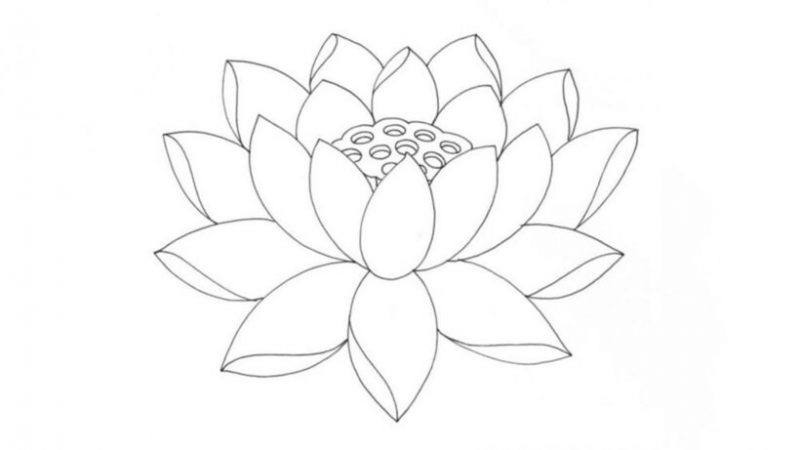 hình vẽ hoa sen Phật giáo 3d