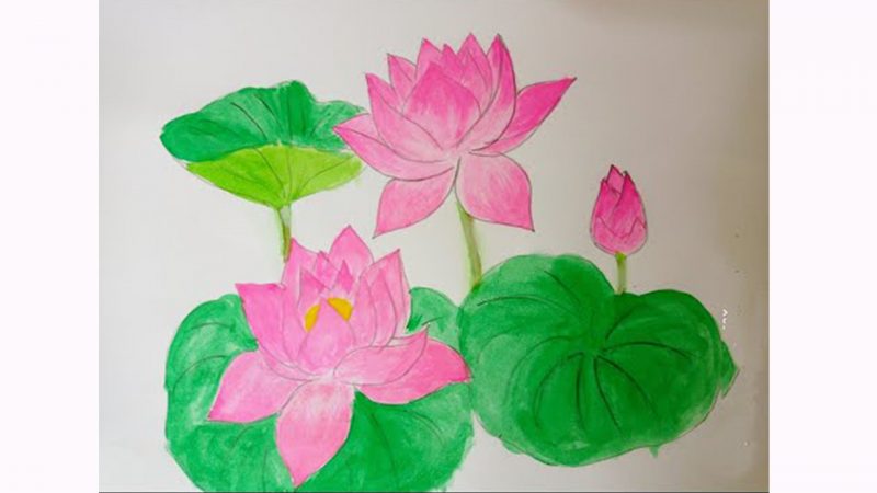 hình vẽ hoa sen và lá