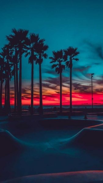 Ảnh avatar chill ấn tượng