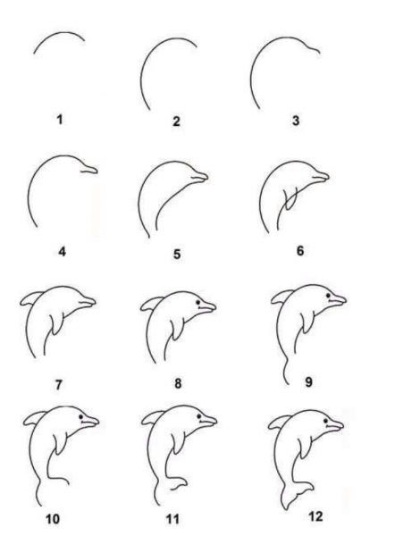 Cách vẽ con cá heo cute