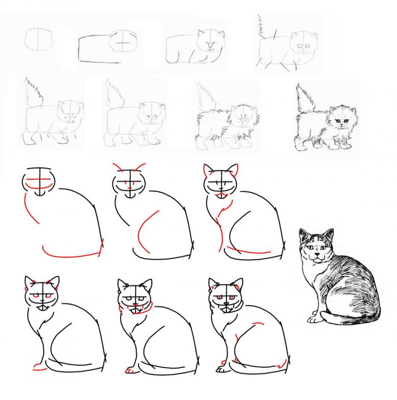 Cập nhật 56 về hình vẽ mèo  cdgdbentreeduvn