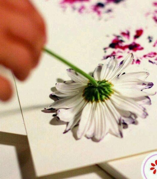 Cách vẽ hoa và lá hoa cúc