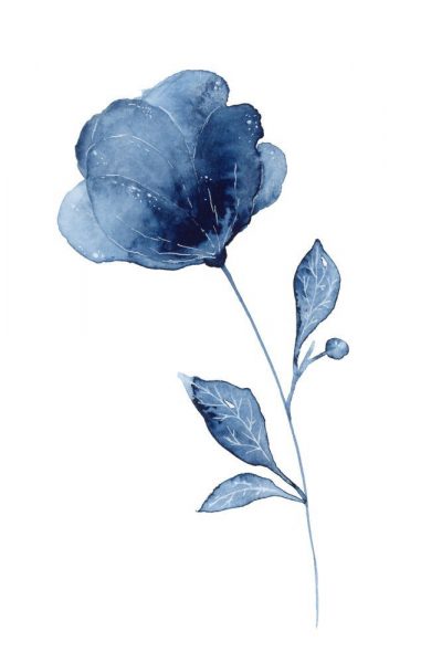 Cách vẽ hoa màu xanh