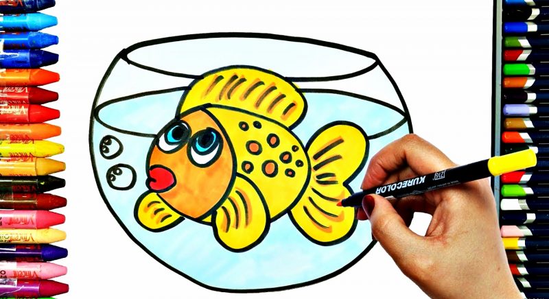 hình vẽ con cá hoạt hình trong chậu thủy tinh