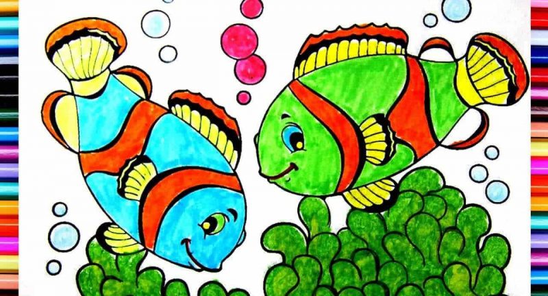 hình vẽ con cá nemo