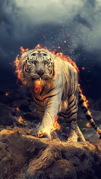 Hình nền Hổ đẹp 3D cho điện thoại