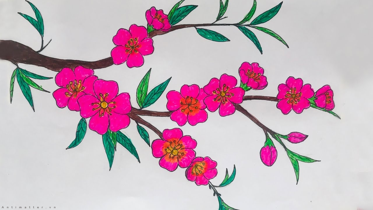 Tô màu bông hoa  Tổng hợp tranh tô màu hoa đẹp nhất cho bé  Trường Tiểu  học Thủ Lệ