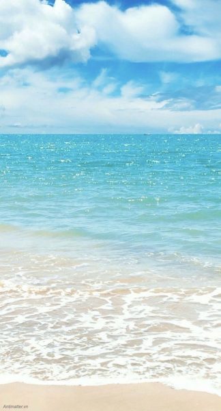 Hình nền biển đẹp cho điện thoại